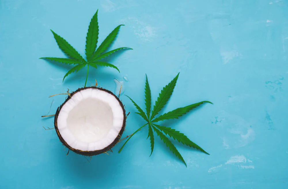 Cannabis(CBD) + Coconuts(MCT)